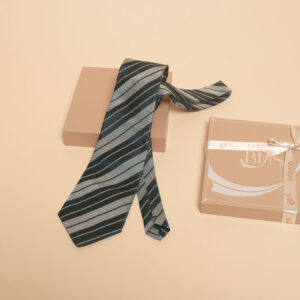 cà vạt lụa cv70