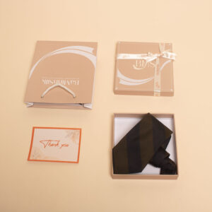 đóng gói cà vạt lụa cv71